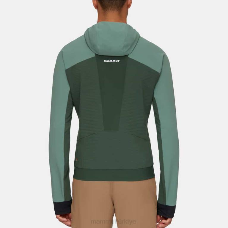 Mammut aenergy so hybrid kapüşonlu ceket Giyim koyu yeşim-ağaçları erkekler LV8J664