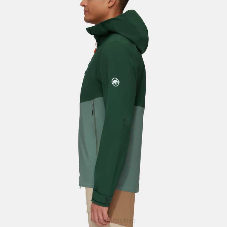 Mammut alto rehberi hs kapüşonlu ceket Giyim koyu yeşim-ağaçları erkekler LV8J698