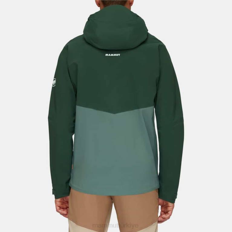 Mammut alto rehberi hs kapüşonlu ceket Giyim koyu yeşim-ağaçları erkekler LV8J698