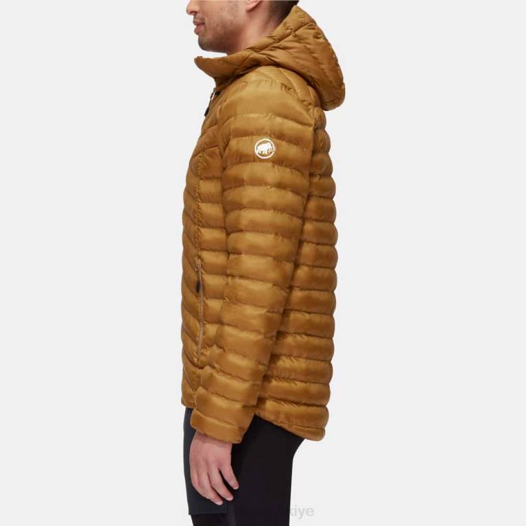 Mammut kapüşonlu ceketli albula Giyim çita erkekler LV8J58