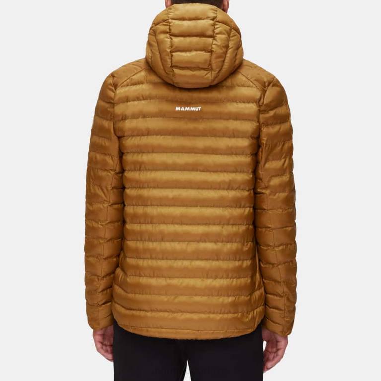Mammut kapüşonlu ceketli albula Giyim çita erkekler LV8J58