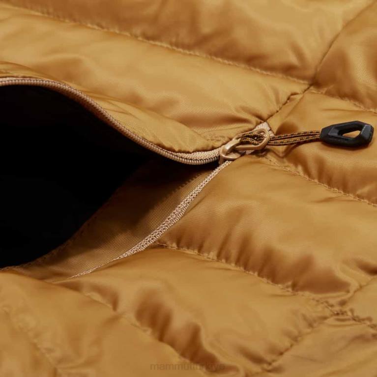 Mammut kapüşonlu ceketli albula Giyim çita erkekler LV8J58