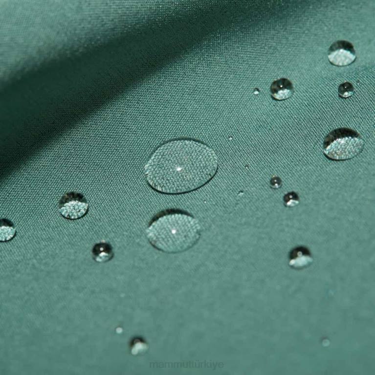 Mammut seon so kapüşonlu ceket Giyim koyu yeşim erkekler LV8J777