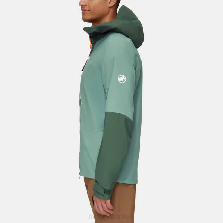 Mammut taiss hs kapüşonlu ceket Giyim koyu yeşim-ağaçları erkekler LV8J693