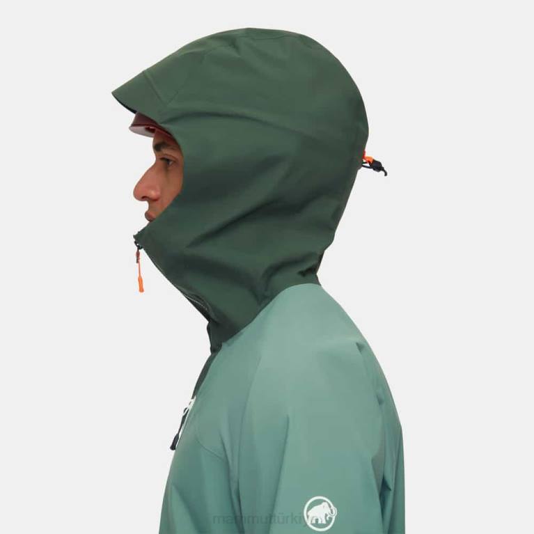 Mammut taiss hs kapüşonlu ceket Giyim koyu yeşim-ağaçları erkekler LV8J693