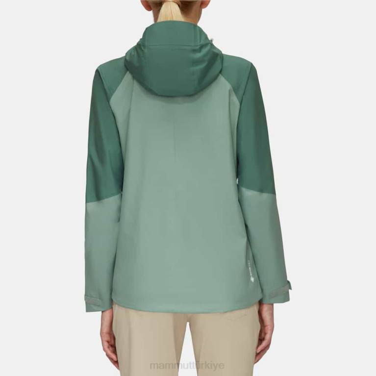 Mammut iletmek tur hs kapüşonlu ceket Giyim yeşim-koyu yeşim kadınlar LV8J746