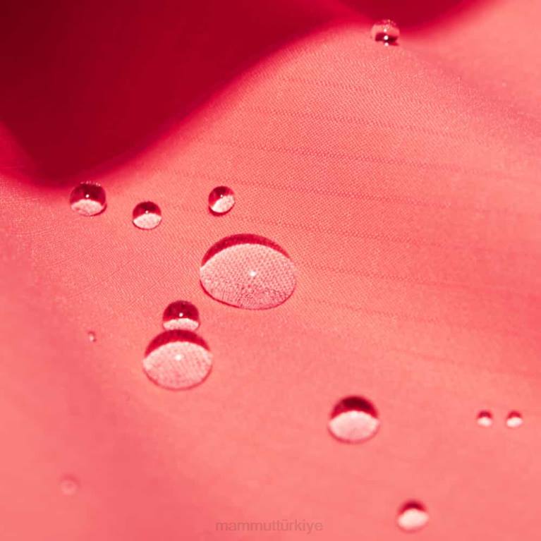 Mammut taiss hs kapüşonlu ceket Giyim somon kadınlar LV8J53