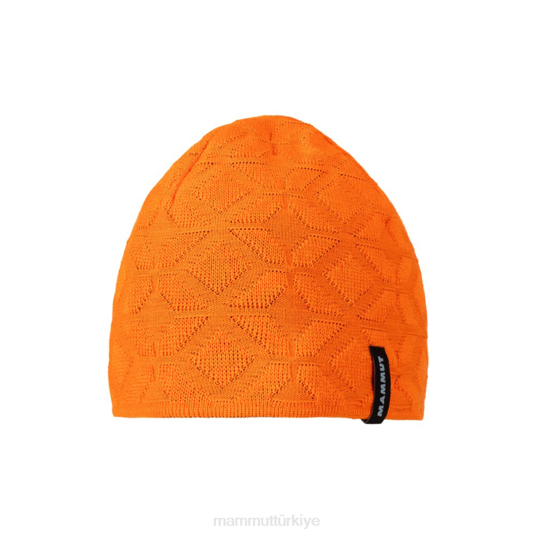 Mammut Kuzey beresi Aksesuarlar arumita-gece üniseks LV8J1176