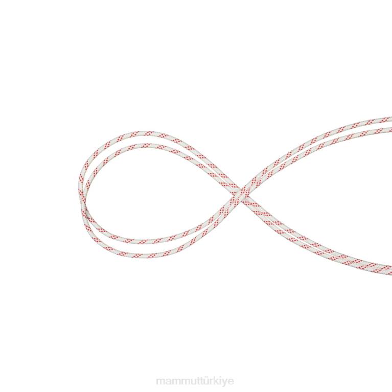 Mammut 10.0 performans statik teçhizat Beyaz kırmızı üniseks LV8J515