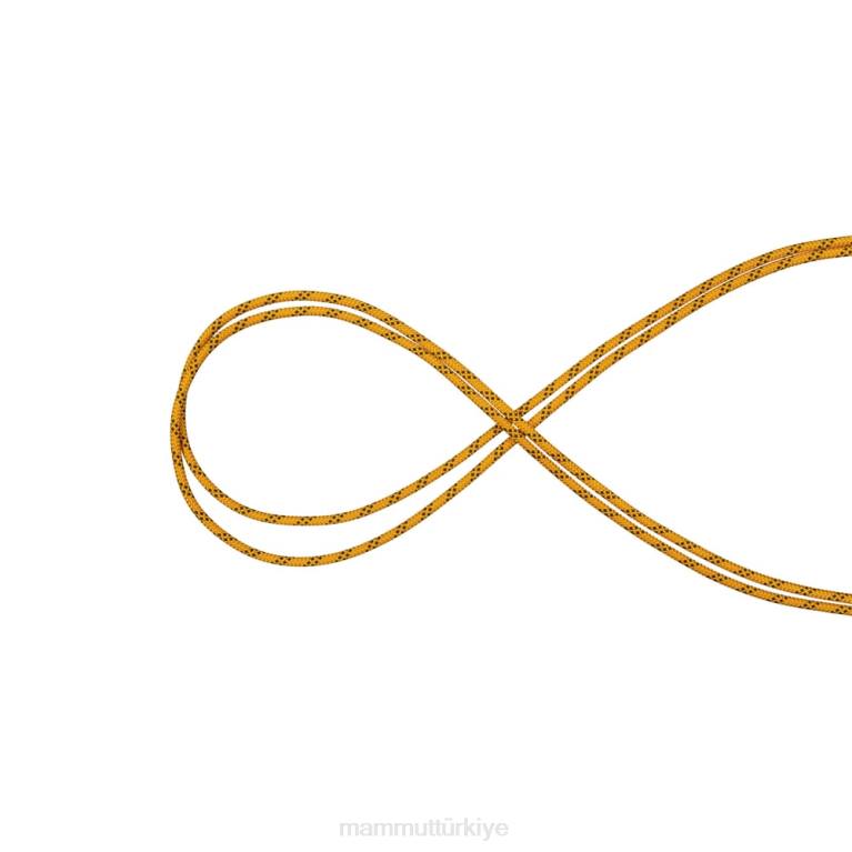 Mammut 10.0 performans statik teçhizat sarı siyah üniseks LV8J1414