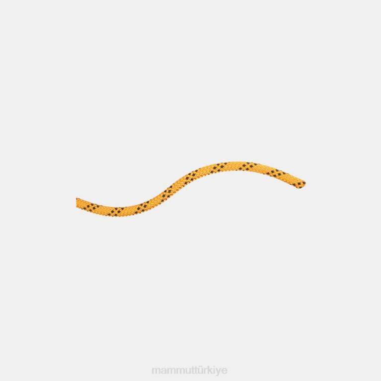 Mammut 10.0 performans statik teçhizat sarı siyah üniseks LV8J1414