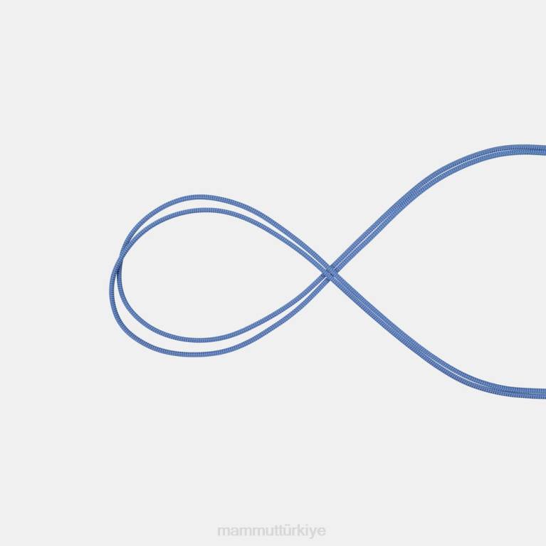 Mammut aksesuar kablosu teçhizat turkuaz üniseks LV8J591