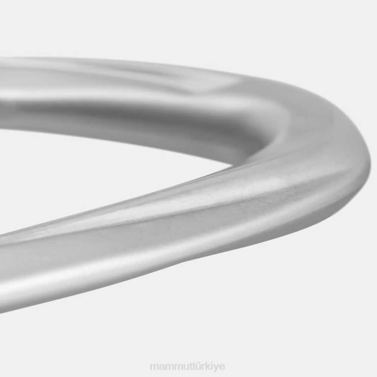 Mammut kayalık tuş kilidi teçhizat gümüş üniseks LV8J388