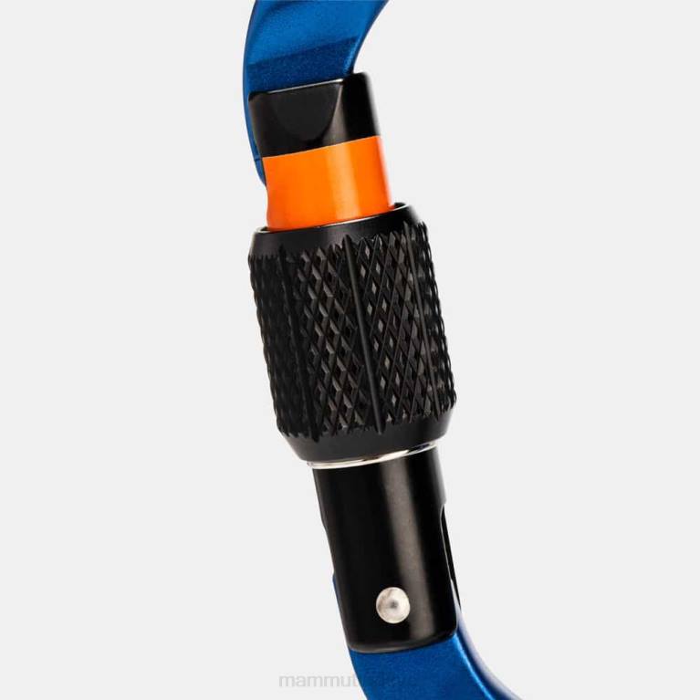 Mammut klasik hms vidalı karabina teçhizat mavi üniseks LV8J397