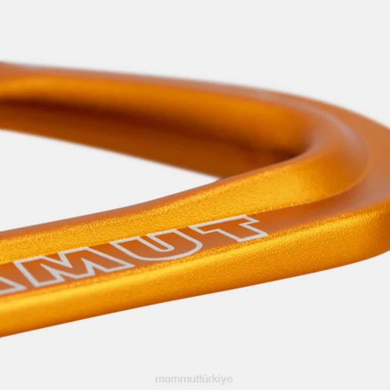 Mammut verici kablosu 17 cm hızlı çekme teçhizat açık gri-altın üniseks LV8J607